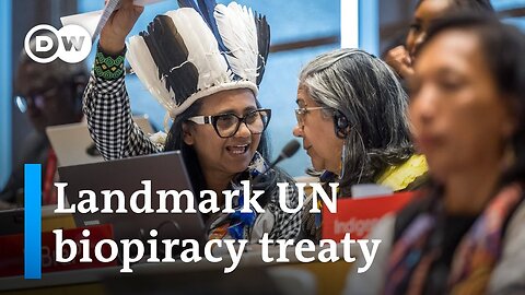 How will new UN biopiracy treaty prevent the abuse of Indigenous people’s resources in patents?