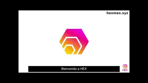HEX Promo