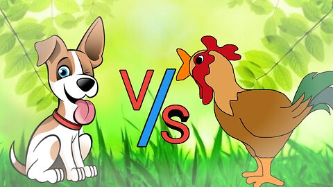 Funny Chicken v/s Dog Fight videos 😆😅 #Viral #trending #funny #chicken #dog