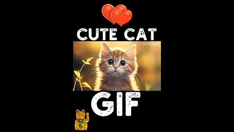 Cute Cat Gif