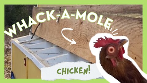 Chickens Whack A Mole