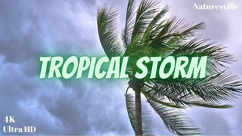 Tropical Torrential Rainstorm With Music for Sleeping, Relaxation, Spa And Stress-Relief. ASMR