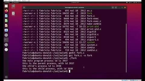 fork.c - A Chamada de sistema fork() para duplicar (clonar) um processo no Linux