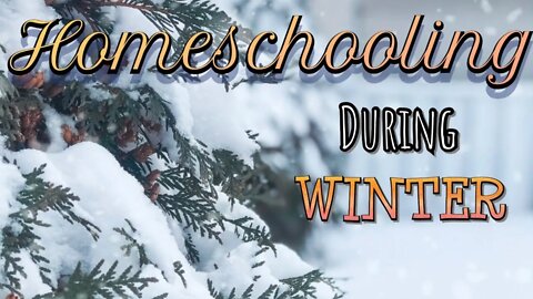 Homeschooling During Winter / Fighting Cabin Fever / Keeping Homeschoolers Busy During Winter