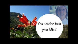 You need to train your Mind