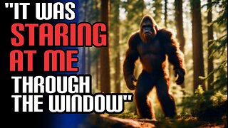 From Military Secrets to Sasquatch Bodies: 5 True Stories of Bigfoot Encounters