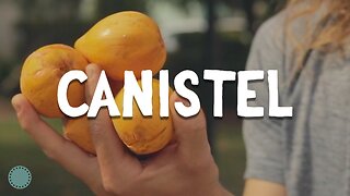 How to Grow ~ Canistel (Pouteria campechiana)