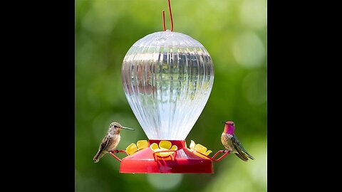Billion Sky Hummingbird Feeder, Glass Hummingbird Feeders for Outdoors Hanging, Lantern Shaped...