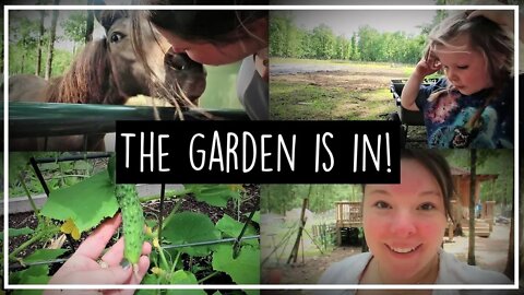 The Garden Is In//Garden Tour//Weekly Updates