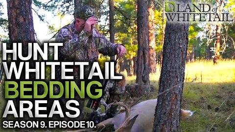 How to Identify and Hunt Whitetail Bedding Areas | Land of Whitetail
