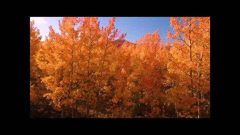 Amazing Drone Footage Alaska epic drone film fall colors in 4k 2022