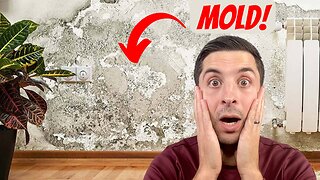 How To Test For Mold In Your Home | The 5 Critical Mistakes