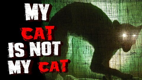 "My Cat Is Not My Cat" | Horror Storytime | Creepypasta 2020