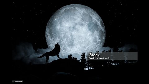 Under the Moonlight, Mysteries of Wolves