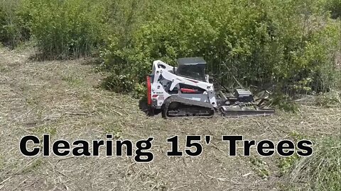 Land clearing DAY 4. Drone crash! Illinois land management Bobcat T650 CTL& Blue Diamond Severe Duty