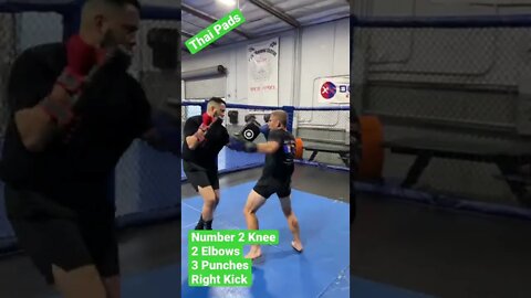 Muay Thai Pad Combo Knee 2 Elbows 3 Punches 1 Kick