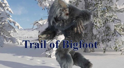 Trail of Bigfoot | Mysteries of the World