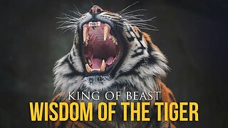 Wisdom Of The Tiger