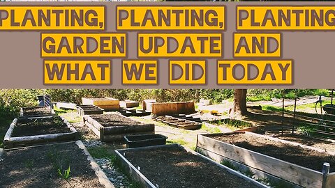 Planting and Garden Update. What We Did Today On The AP Homestead!