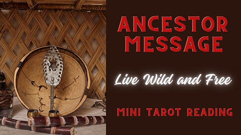 ANCESTOR MESSAGE ~ LIVE WILD AND FREE ~ MINI TAROT READING
