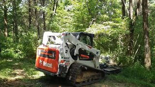 BACK AGAIN?? Clearing Land! Bobcat T650 CTL & Blue Diamond Severe Duty for Land Management