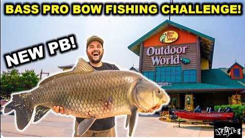 Cheap vs. Expensive Bow Fishing Challenge (Catch, Clean, Cook)
