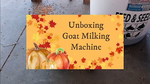 Unboxing: Goat Milking Machine