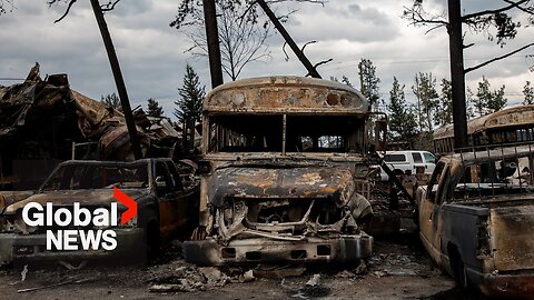 Jasper wildfire: What does it take to rebuild after a devastating blaze?| RN ✅