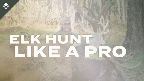 5 Tips We Wish We Knew Sooner | ( ELK HUNTING )