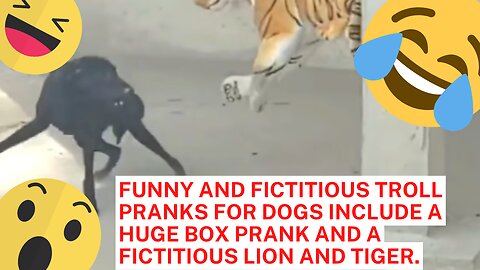 FUNNY AND FICTITIOUS TROLL PRANKS FOR DOGS INCLUDE A HUGE BOX PRANK AND A FICTITIOUS LION AND TIGER.