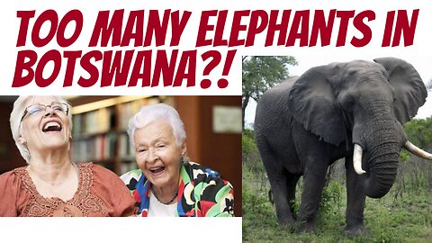 Botswana has too many Elephants!?