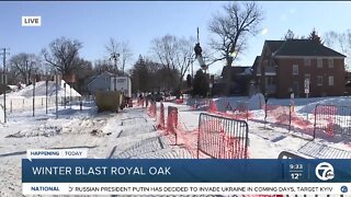 Winter Blast Royal Oak