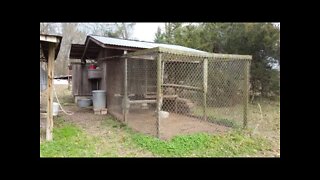 Chicken Coop Set-Up and Hen House Tour