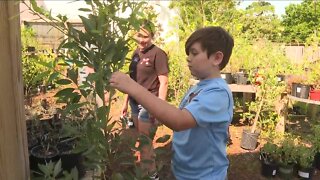 Tampa nursery teaches kids that bugs are our friends
