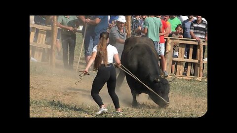 Kobrica vl Martina Batista vs Garac vl Mehrudin Mahmić Visoko Stuparići 4K