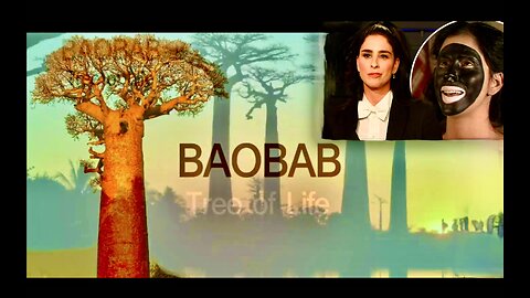 Amazing African Baobab Tree Of Life Exposes Jewish Privilege Khazarian Mafia White Genocide Plan