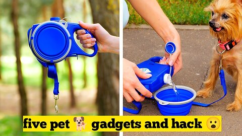 Five pet 🐕 gadgets and hack.