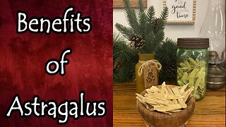 Benefits of Astragalus