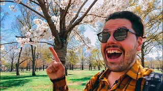 Exploring Queens NYC: Cherry Blossoms in Flushing Meadow Park 🌸 + Zoo
