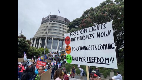 New Zealand Freedom Protests Opinion