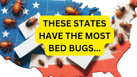 Which States Have The Most Bed Bugs?