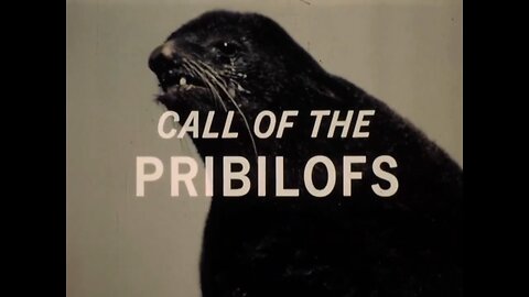 Mutual of Omaha's Wild Kingdom - "Call of the Pribilofs"
