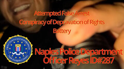 Tyrant Alert - Depravation of Rights & Conspiracy to Attempt Kidnapping - Naples Police Department