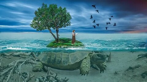 Tibetan Meditation Music | Relaxing Music |Calm Music | Turtles