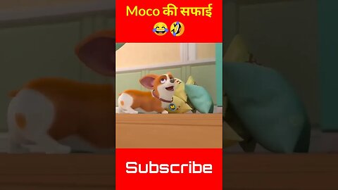 Moco की सफाई 😂🤣 Moco Dog Funny Shorts Video Kvideo