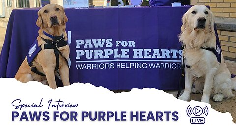 Interview with Erica & Jenny from Paws for Purple Hearts