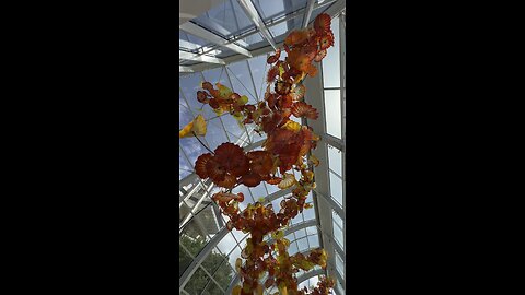 Chihuly Garden and Glass - Glasshouse Sculpture