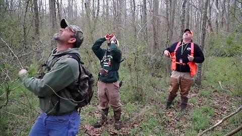 2017 National Sport Dog Competition Squirrel Hunt (2)