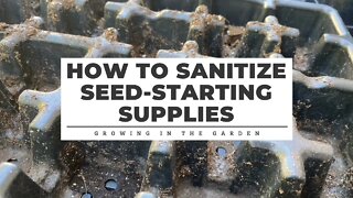 How to Sanitize Seed-Starting Supplies: Growing in the Garden