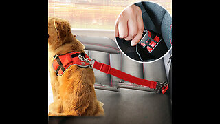 Safe Pet Travel: Adjustable Dog Cat Car Seat Belt - Harness Collar - Dog Lead Clip - Pet Product